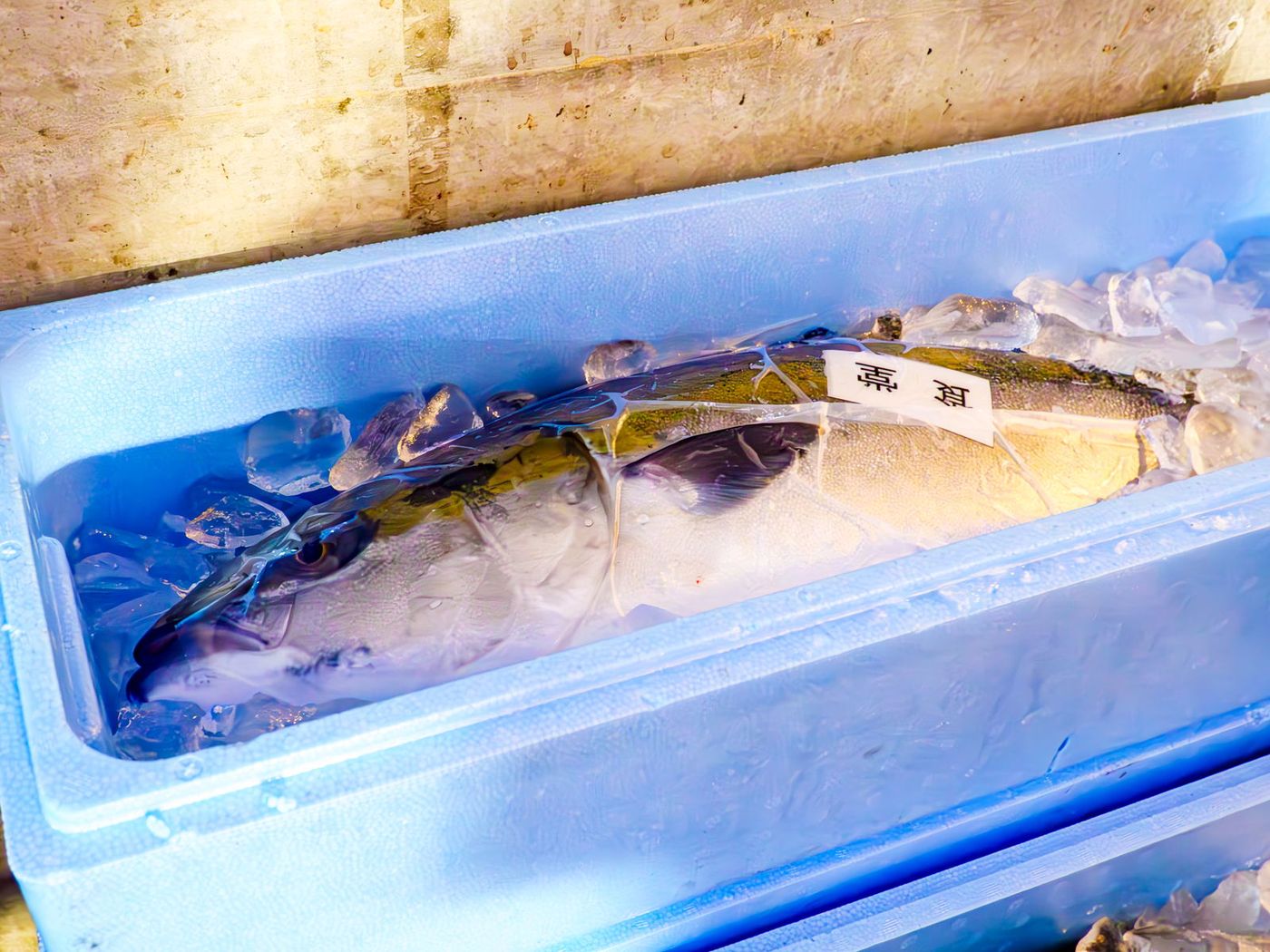 氷見の魚市場に並んだブリ